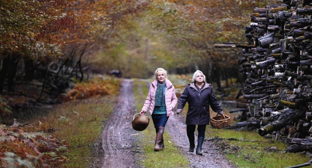 actualité QUAND VIENT L'AUTOMNE