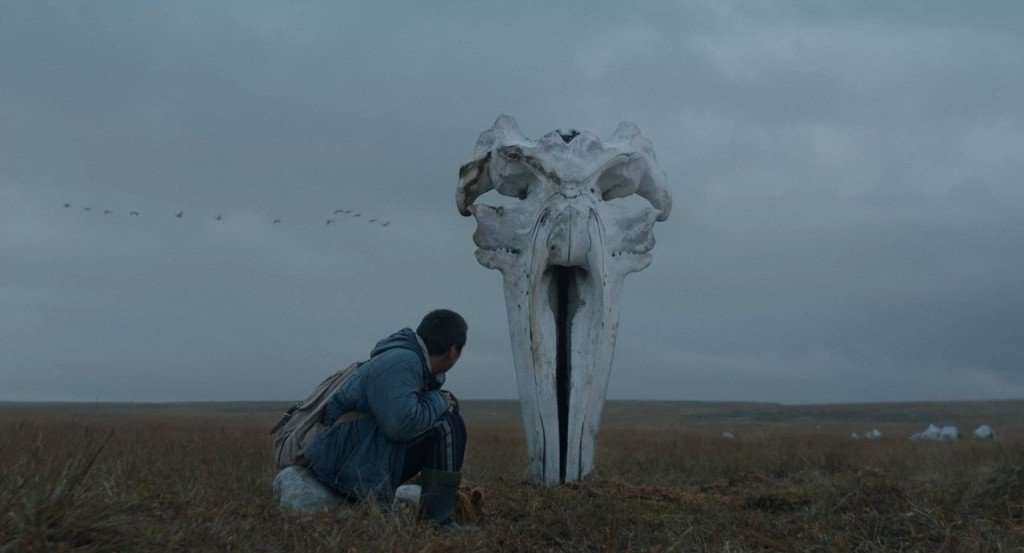 actualité LE CHASSEUR DE BALEINES
