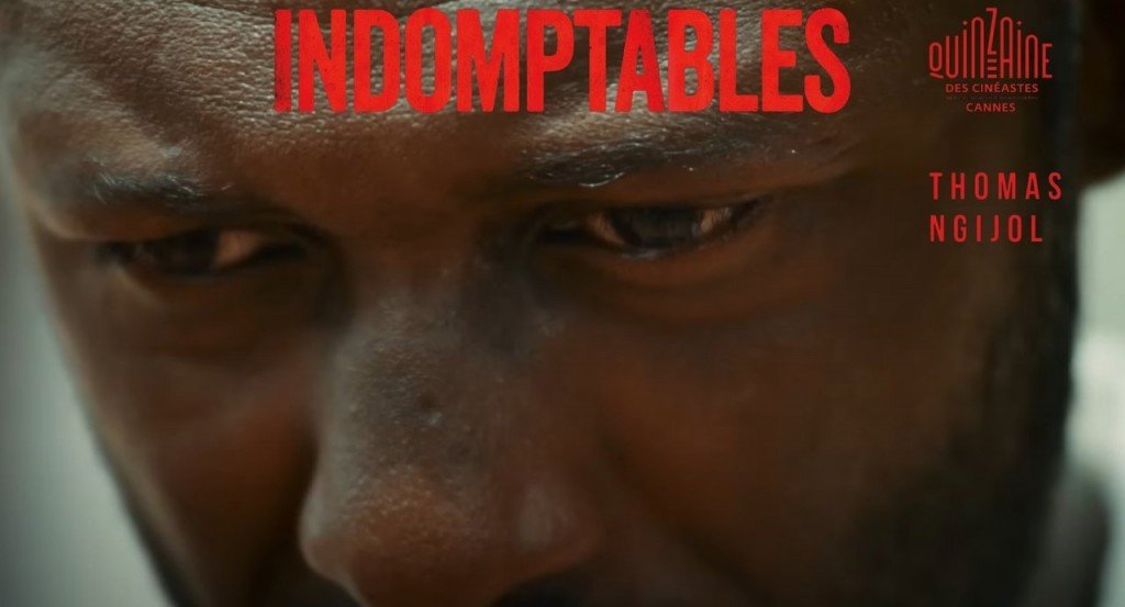 actualité INDOMPTABLES